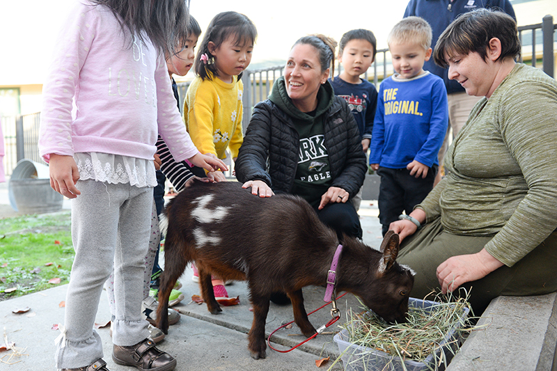 Preschool Goat Visit