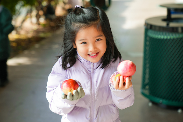 Kindergarten Pomegranate Picking