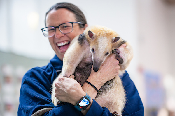 TK Wild Animals Assembly