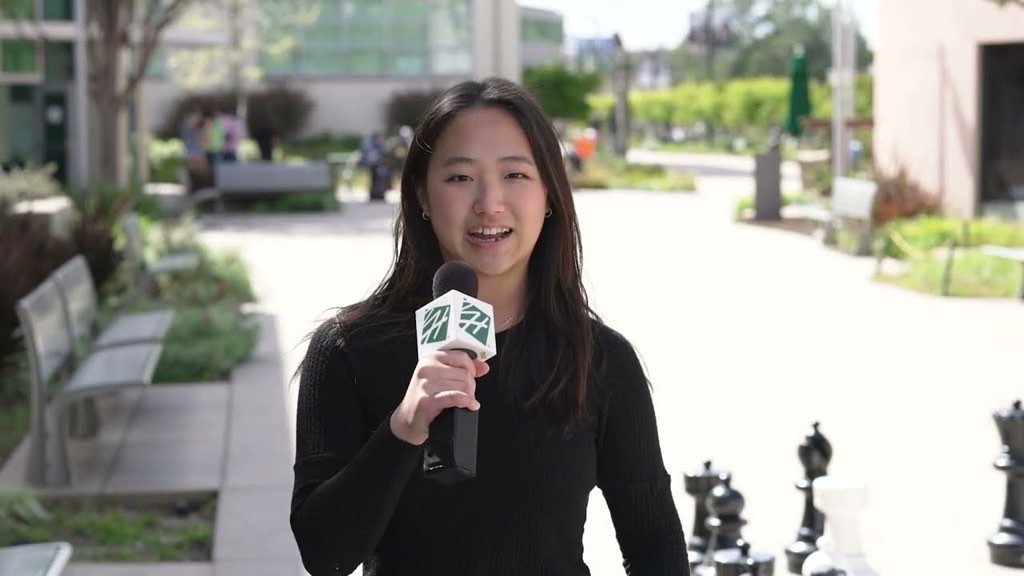 Business and Entrepreneurship Program Overview