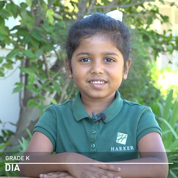 Dia, Grade K